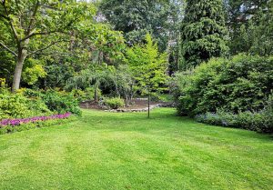 Optimiser l'expérience du jardin à Chassigny-sous-Dun